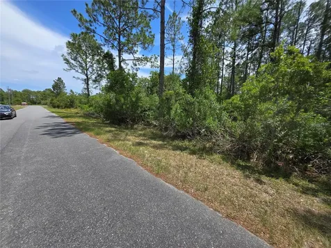 00 W Bluebell Avenue Eustis FL 32736