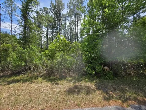 00 W Bluebell Avenue Eustis FL 32736