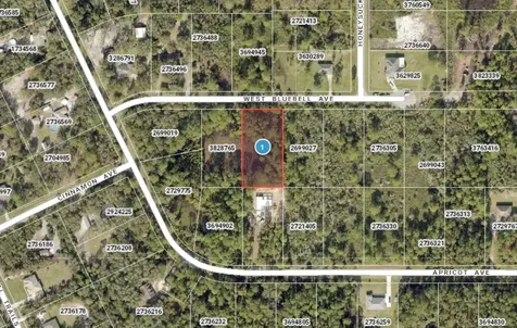 00 W Bluebell Avenue Eustis FL 32736