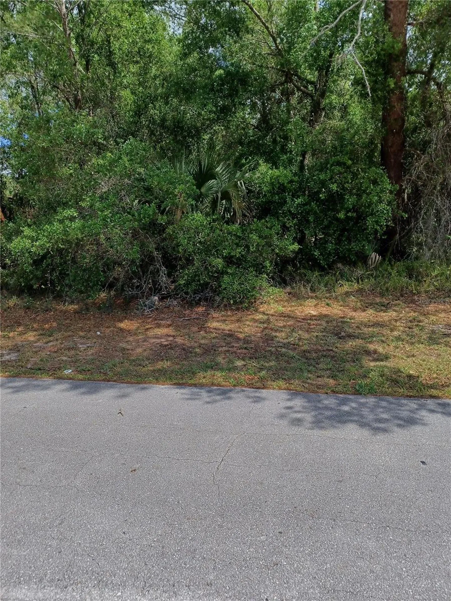 3441 Sandlor Drive Deltona FL 32738