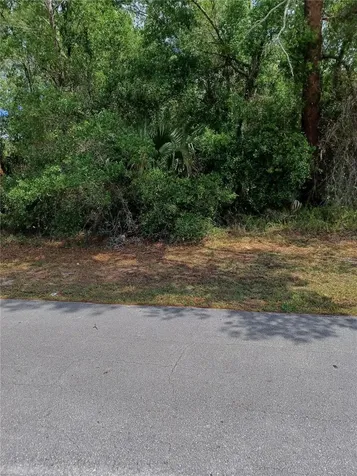 3441 Sandlor Drive Deltona FL 32738