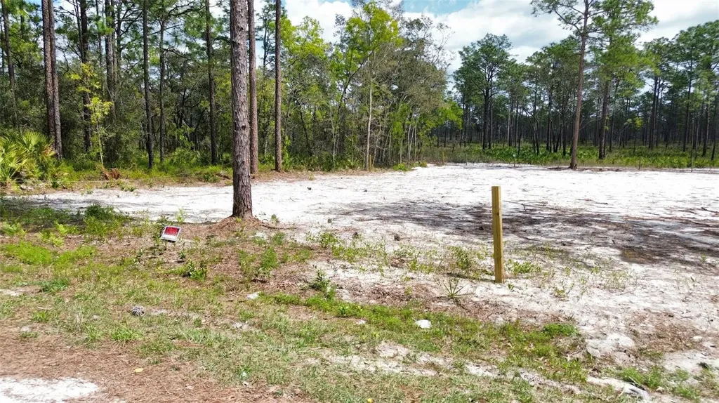 0 Necklace Warbler Avenue Weeki Wachee FL 34613