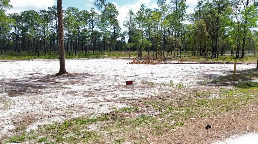 0 Necklace Warbler Avenue Weeki Wachee FL 34613