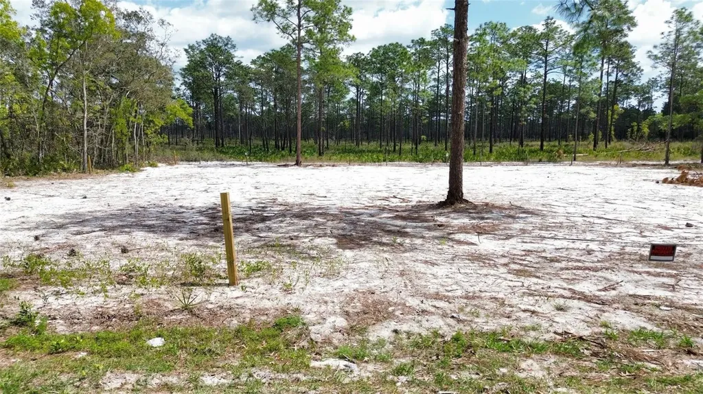 0 Necklace Warbler Avenue Weeki Wachee FL 34613