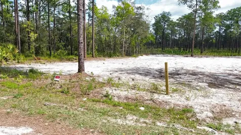 0 Necklace Warbler Avenue Weeki Wachee FL 34613