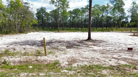 0 Necklace Warbler Avenue Weeki Wachee FL 34613