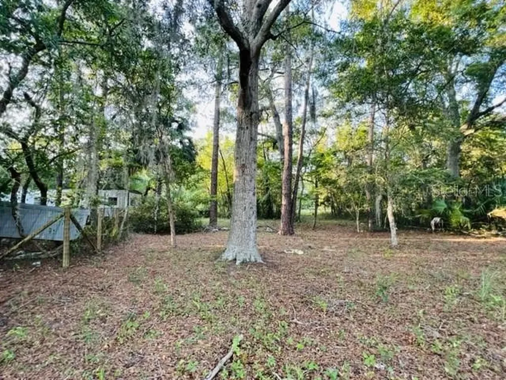 1010 S Main Street Bell FL 32619