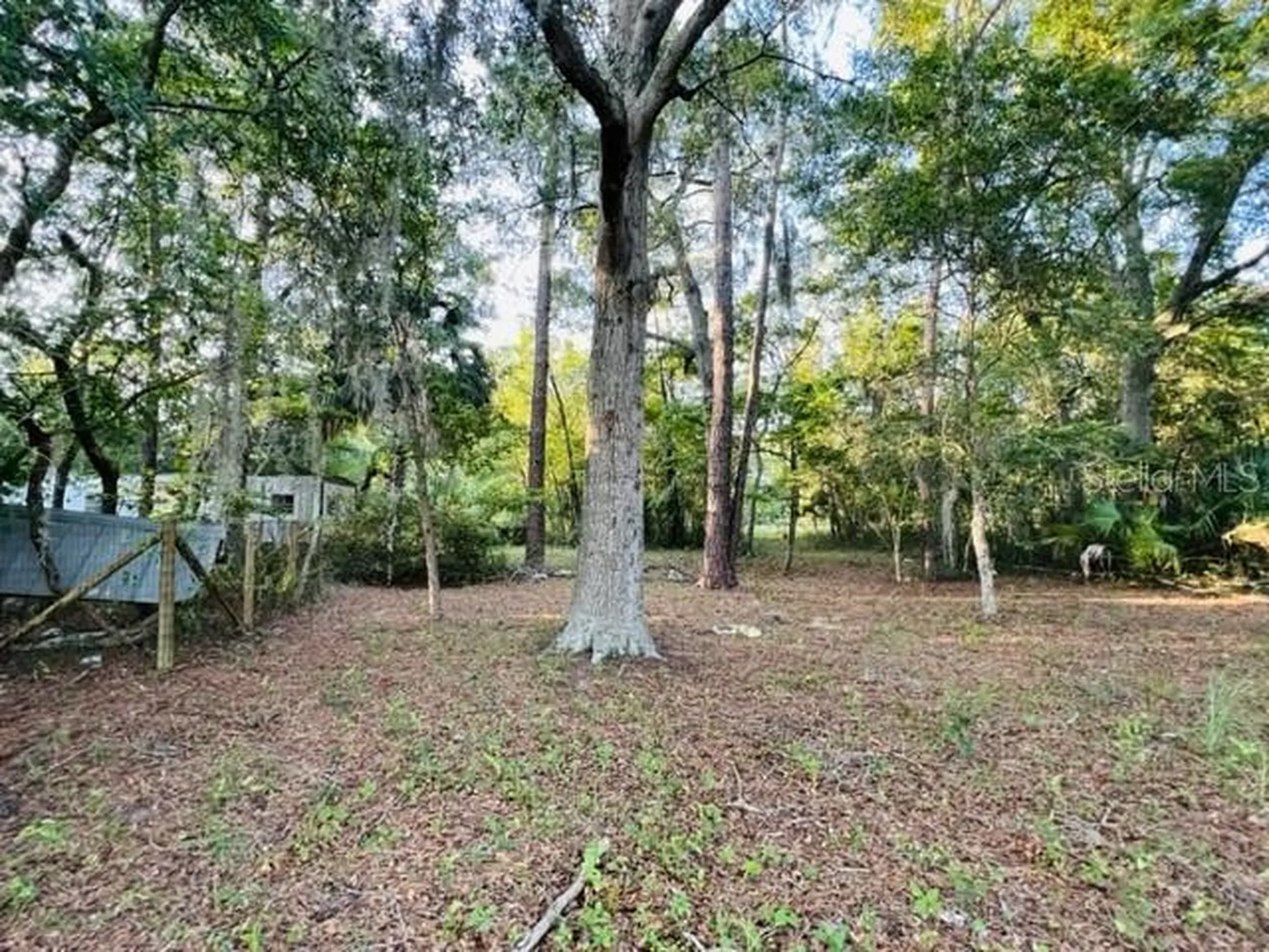 1010 S Main Street Bell FL 32619