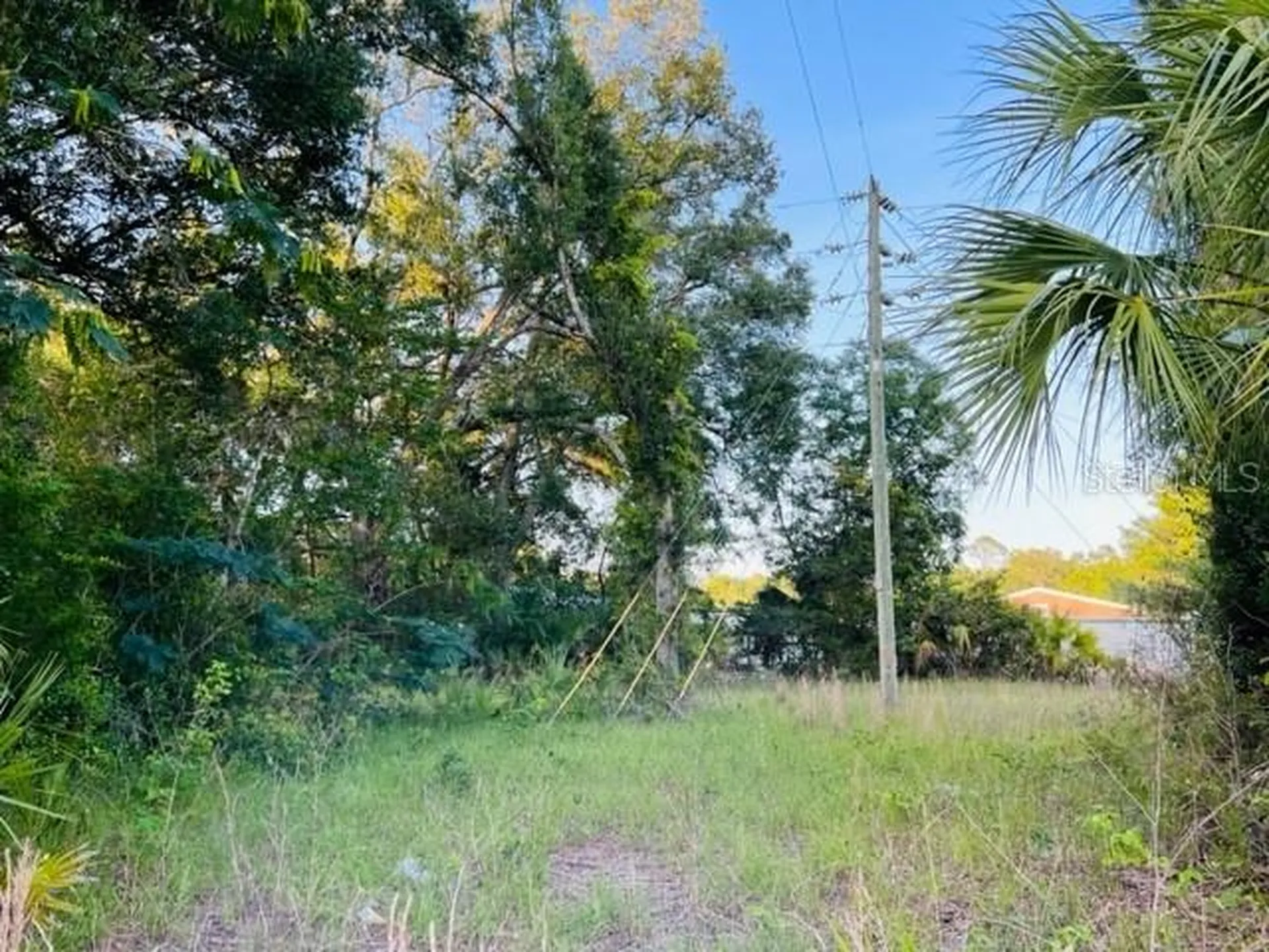 1010 S Main Street Bell FL 32619