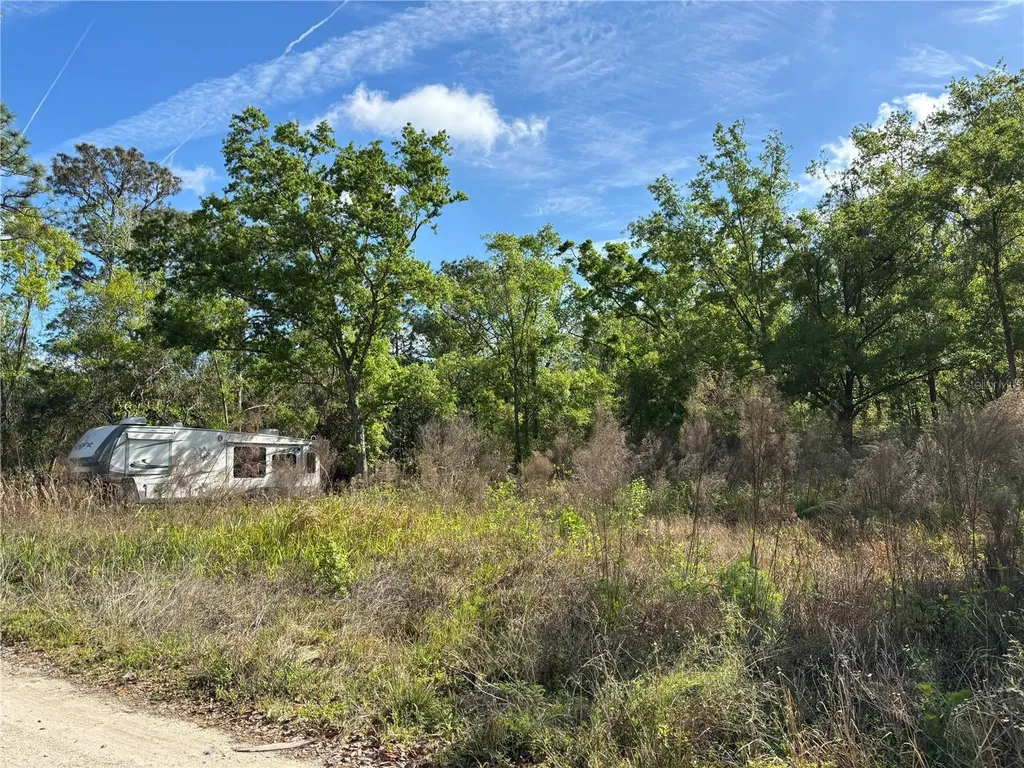 11042 Bounty Street New Port Richey FL 34654
