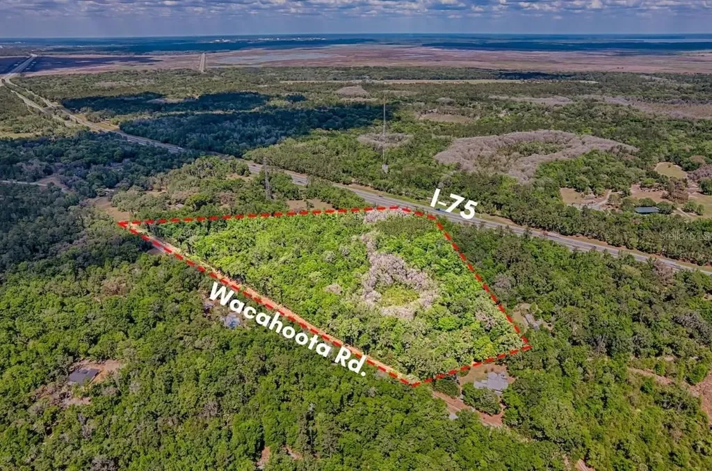 110 SE Wacahoota Road Micanopy FL 32667