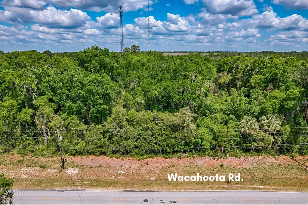 110 SE Wacahoota Road Micanopy FL 32667