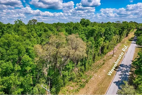 110 SE Wacahoota Road Micanopy FL 32667