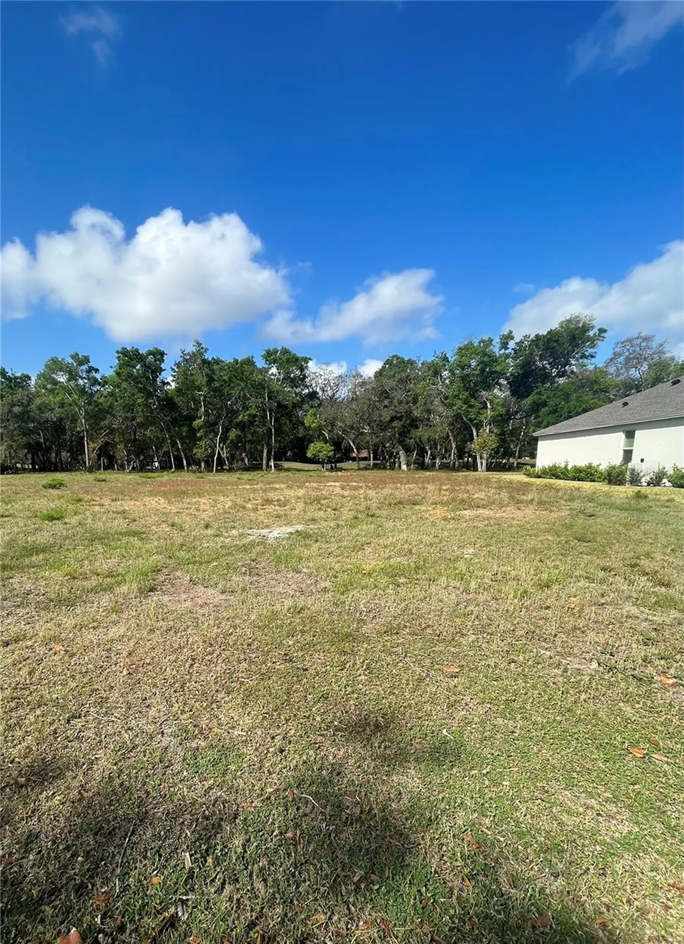 3138 Silvermines Avenue Ormond Beach FL 32174