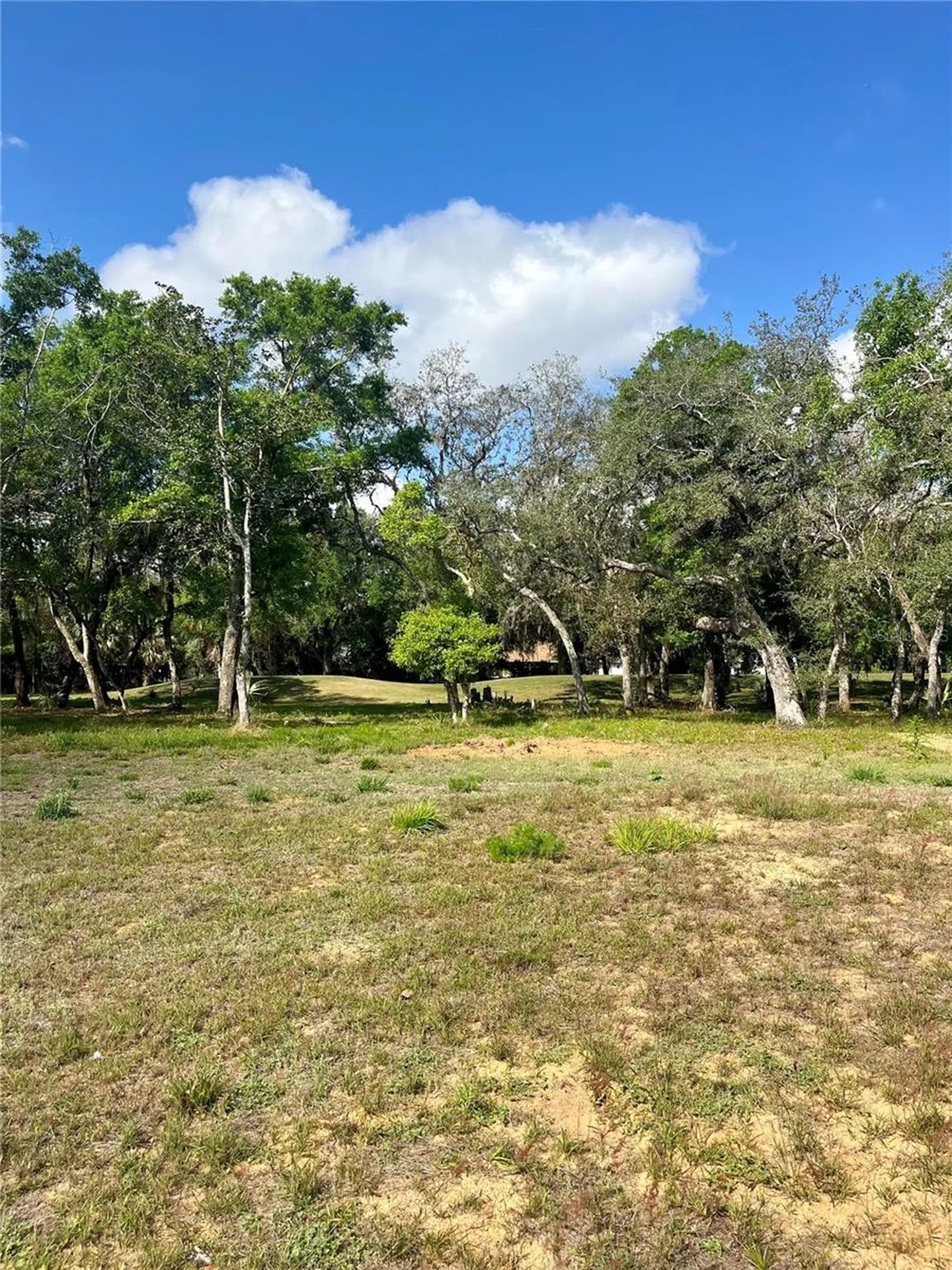 3138 Silvermines Avenue Ormond Beach FL 32174