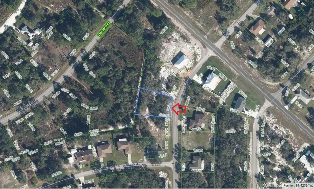 915 Tea Rose Street Lake Placid FL 33852