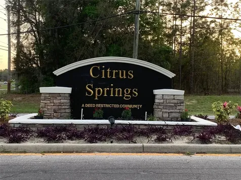 10060 N Carver Drive Citrus Springs FL 34434