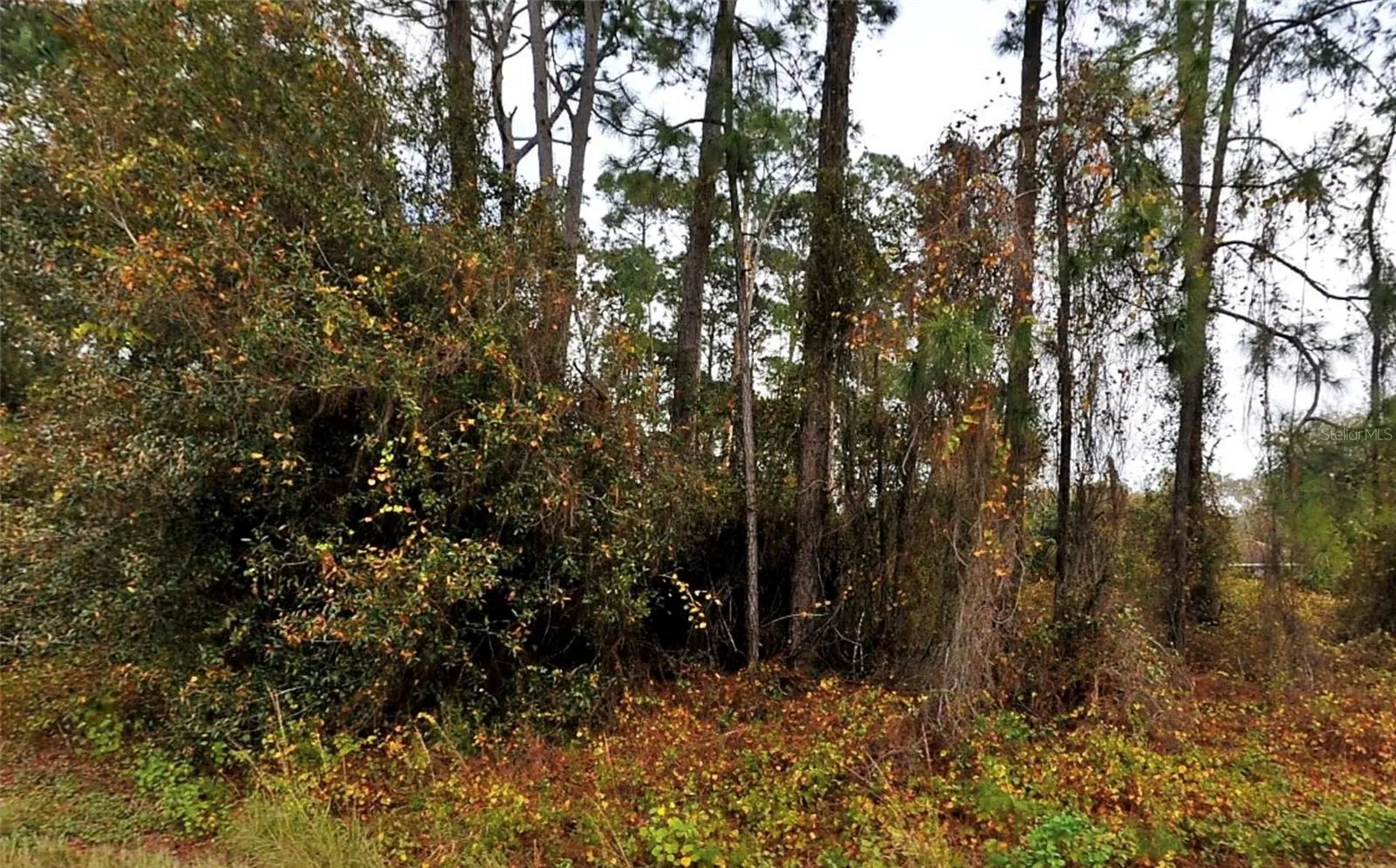 Lot 18 Senate Avenue North Port FL 34291