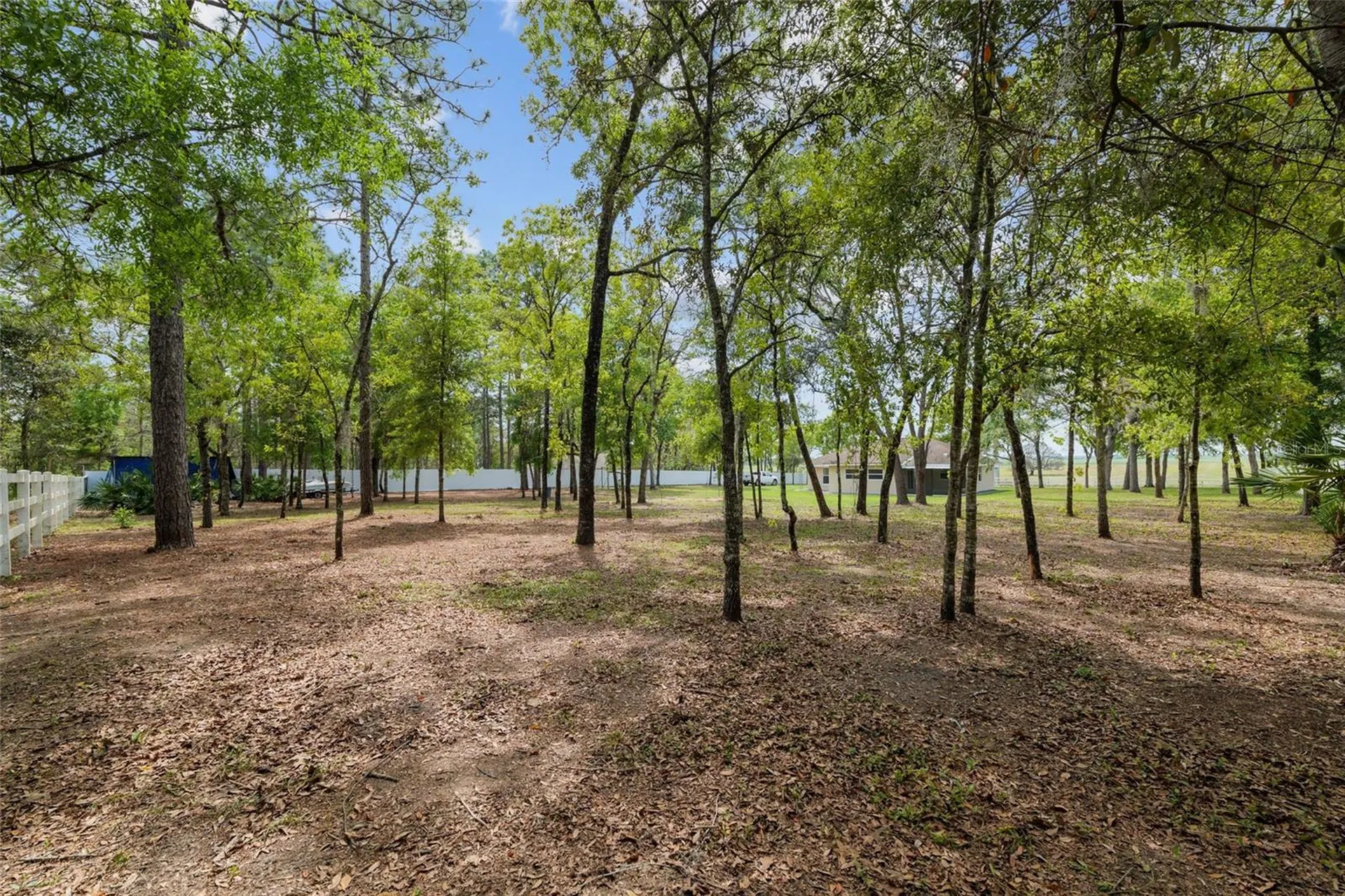 8055 SW 140th Avenue Dunnellon FL 34432