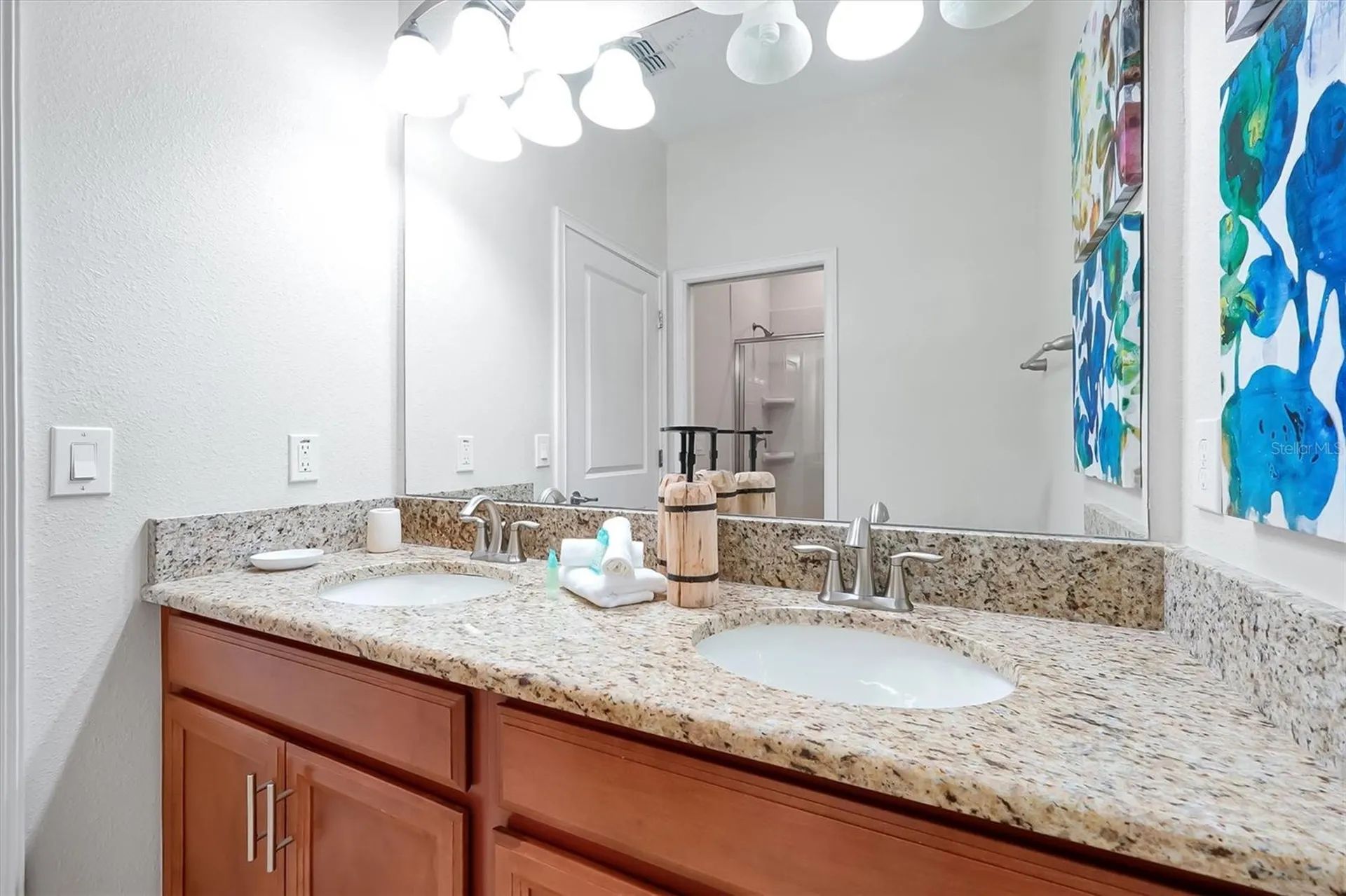 4811 Brier Rose Lane Kissimmee FL 34746