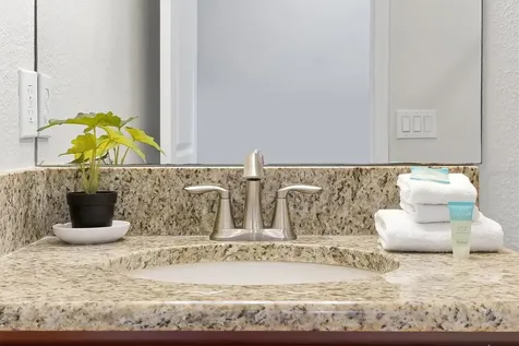 4811 Brier Rose Lane Kissimmee FL 34746