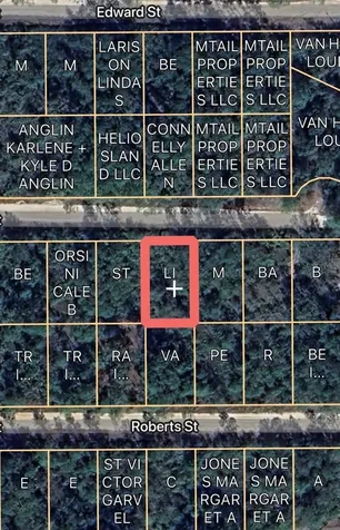 00 Basford Street Interlachen FL 32148