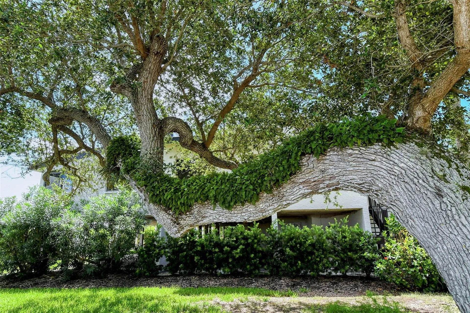 6267 Midnight Pass Road Sarasota FL 34242