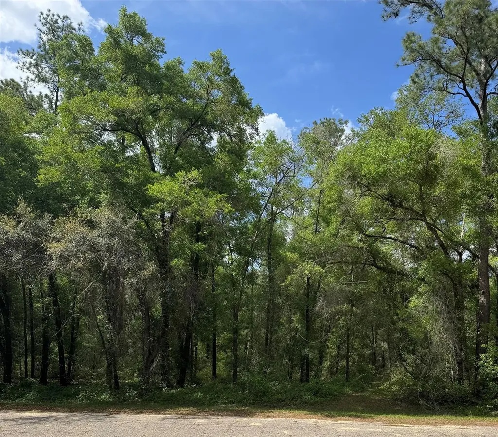 455 E Avondale Drive Dunnellon FL 34434