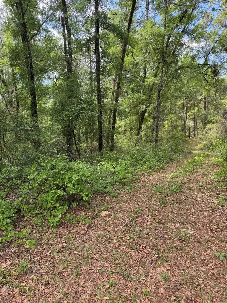 455 E Avondale Drive Dunnellon FL 34434