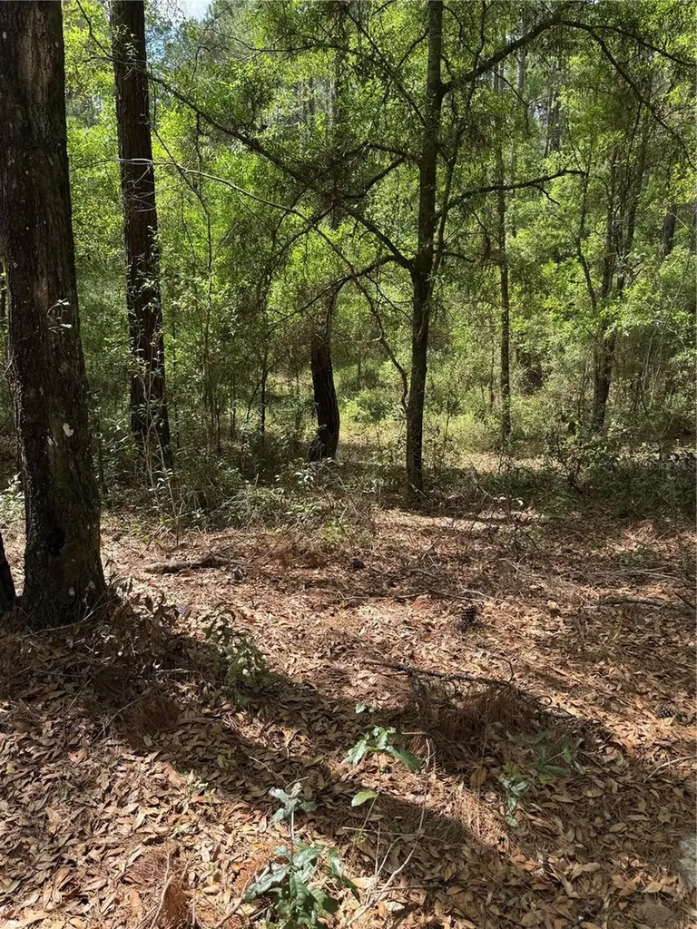455 E Avondale Drive Dunnellon FL 34434