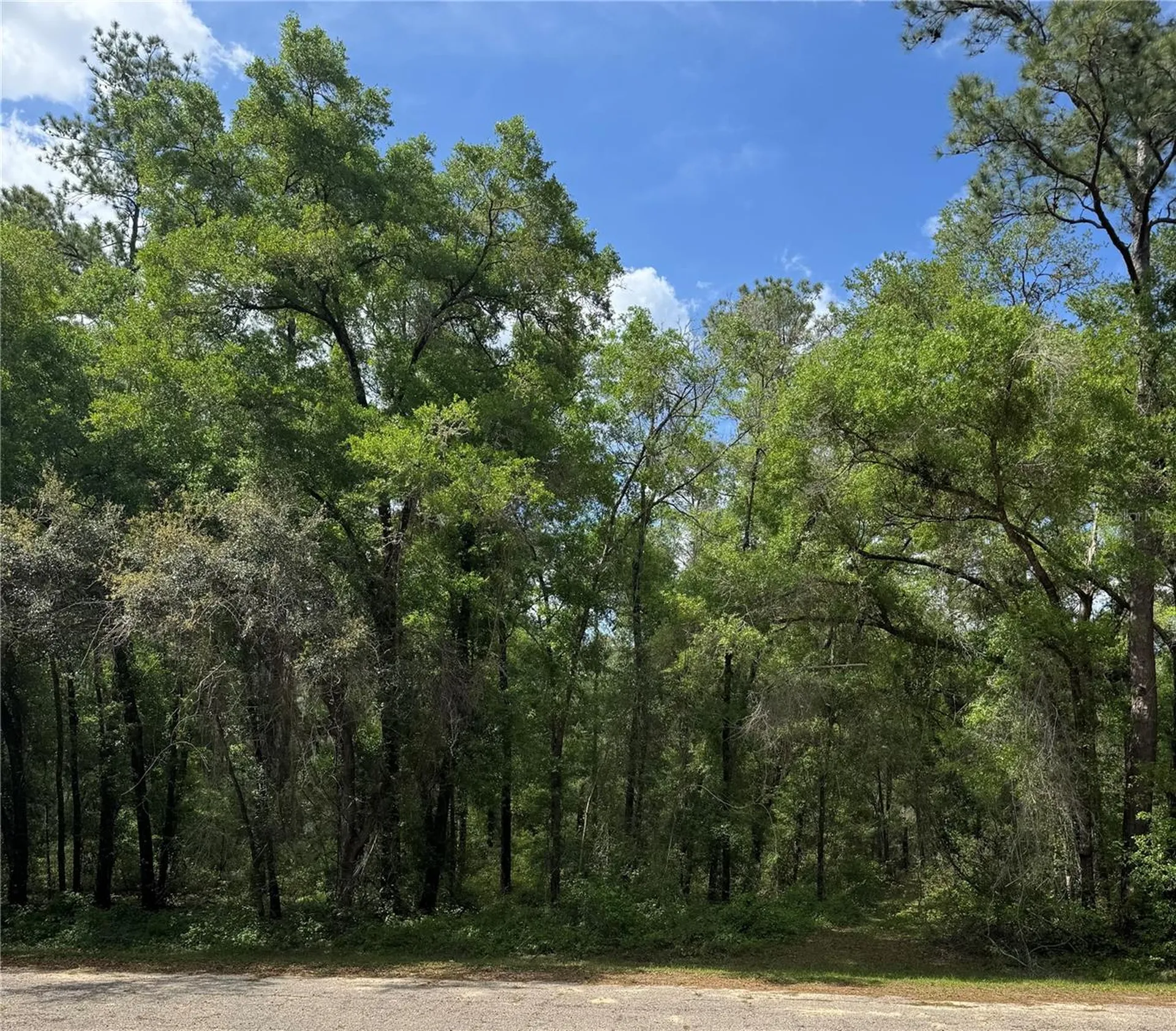 455 E Avondale Drive Dunnellon FL 34434