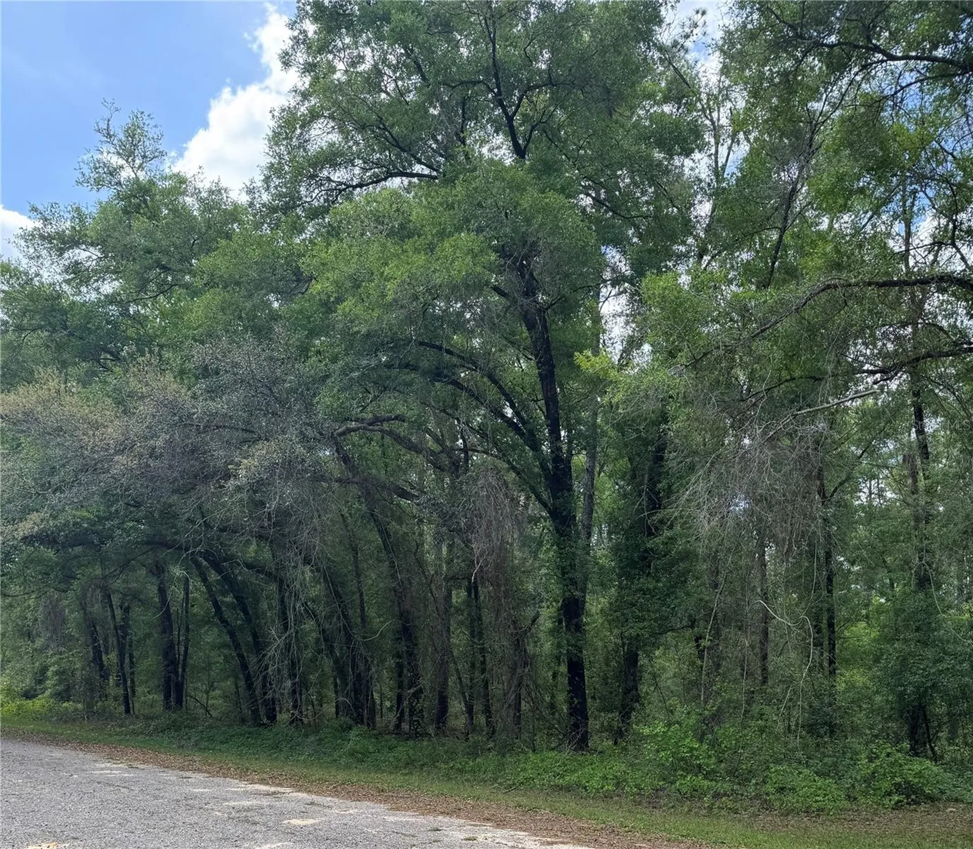 455 E Avondale Drive Dunnellon FL 34434