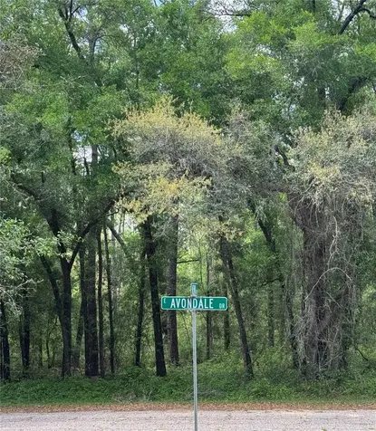 455 E Avondale Drive Dunnellon FL 34434