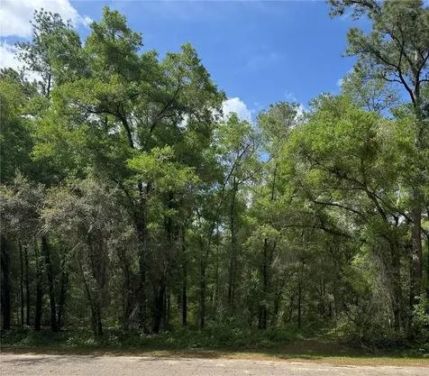 455 E Avondale Drive Dunnellon FL 34434