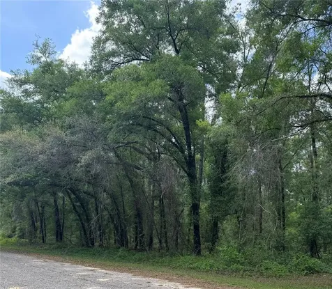 455 E Avondale Drive Dunnellon FL 34434