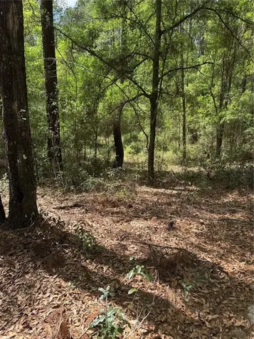 455 E Avondale Drive Dunnellon FL 34434
