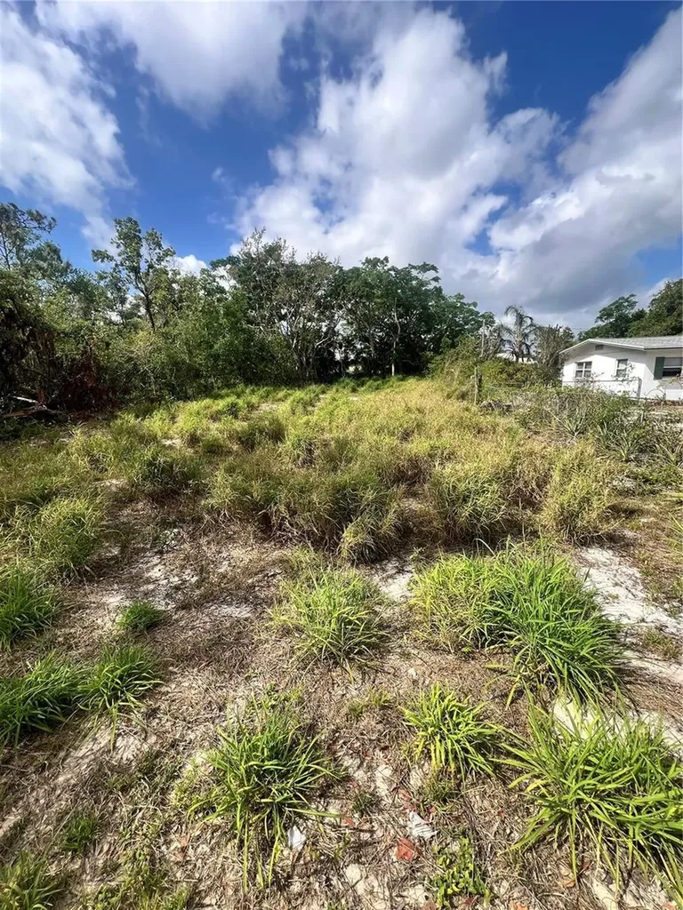 Carson Avenue Babson Park FL 33827