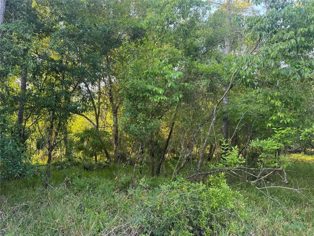 1297 NE River Raft Drive Arcadia FL 34266