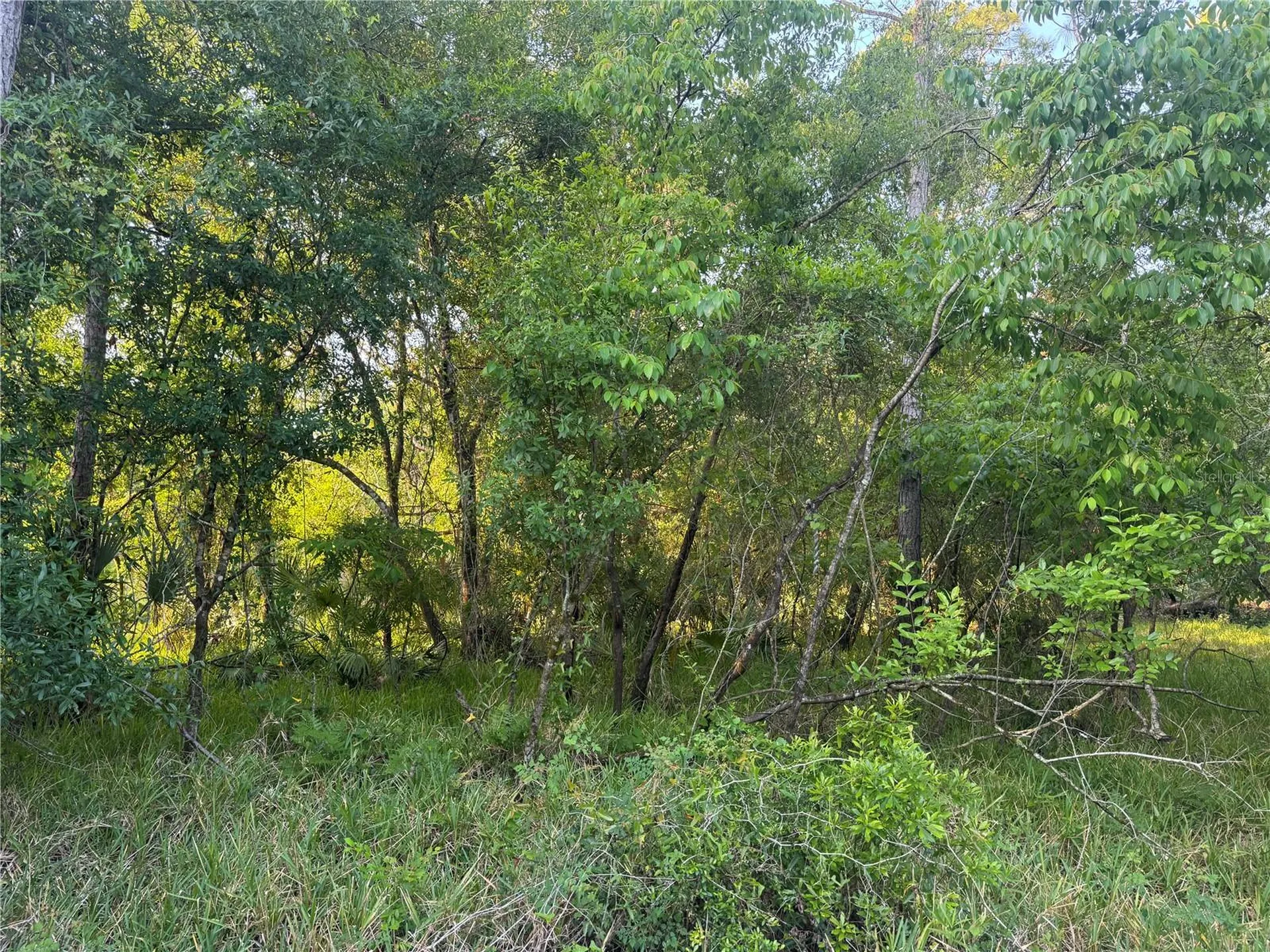 1297 NE River Raft Drive Arcadia FL 34266