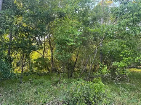 1297 NE River Raft Drive Arcadia FL 34266