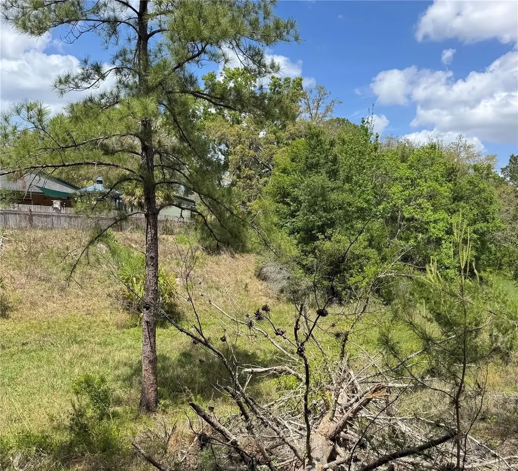 2185 Waterfall Drive Spring Hill FL 34608