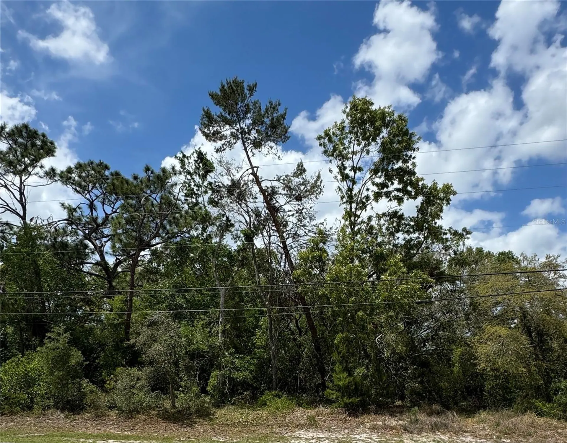 2185 Waterfall Drive Spring Hill FL 34608