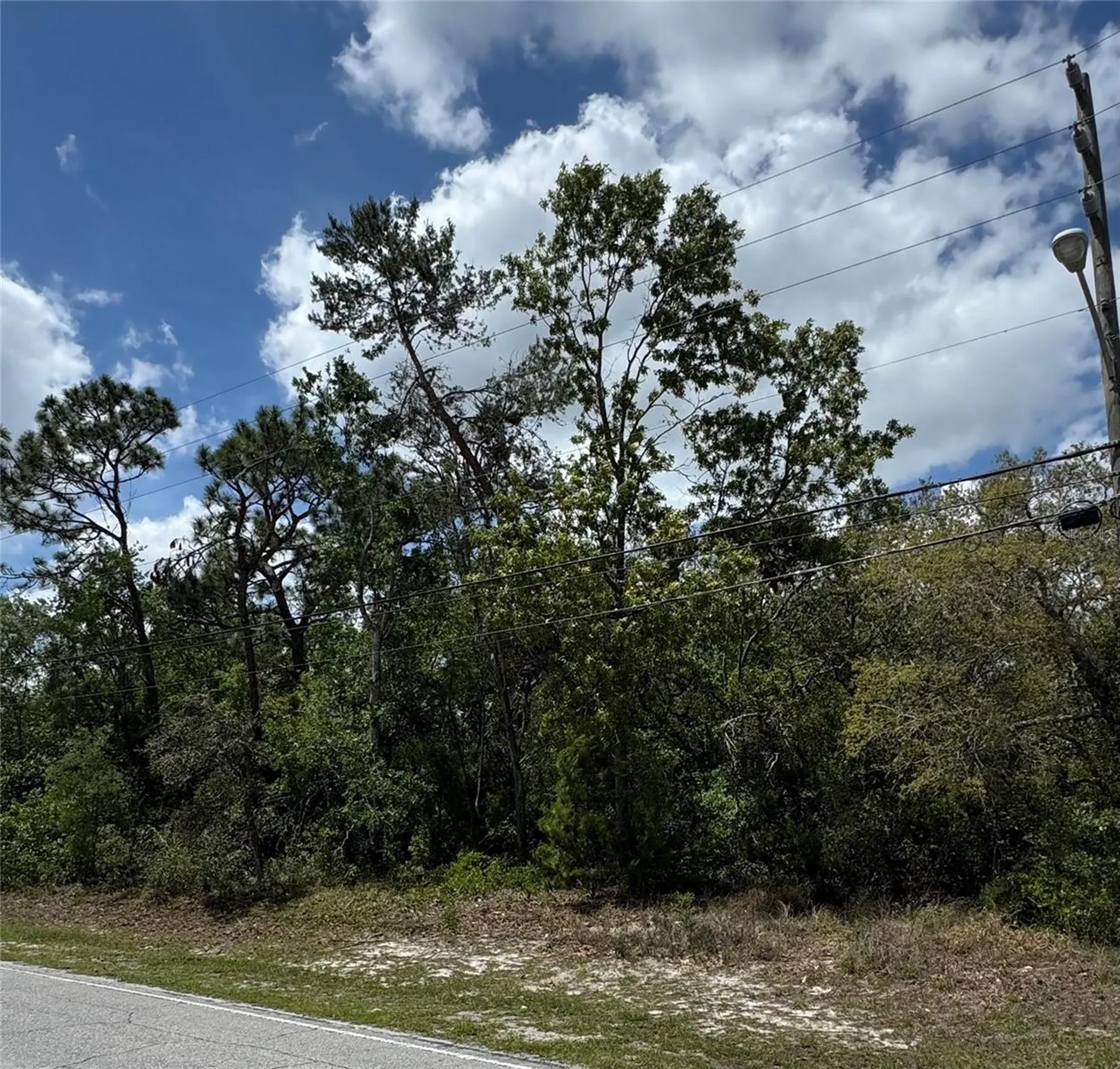 2185 Waterfall Drive Spring Hill FL 34608
