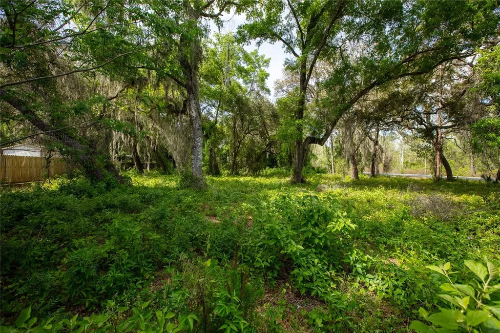 8786 & 8782 State Road 21 Melrose FL 32666