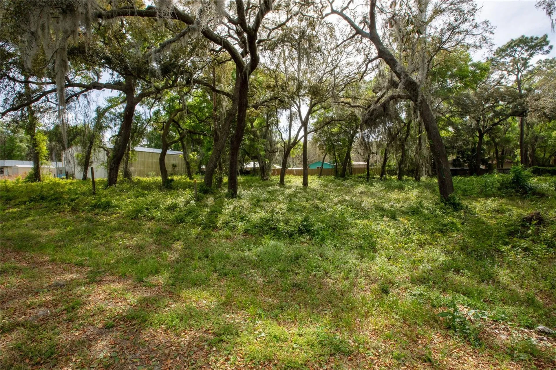 8786 & 8782 State Road 21 Melrose FL 32666