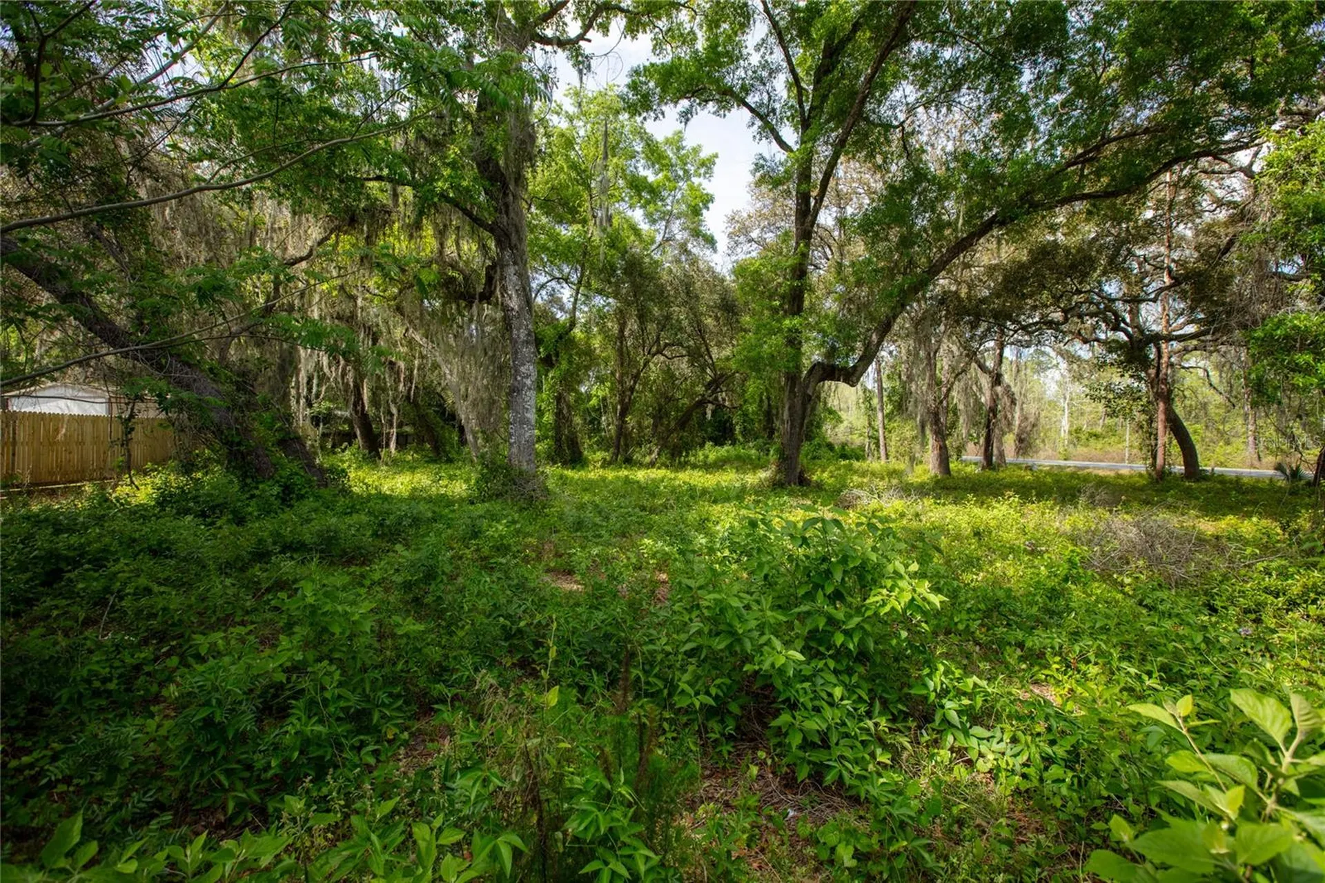 8786 & 8782 State Road 21 Melrose FL 32666