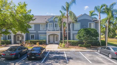 18236 Paradise Point Drive Tampa FL 33647