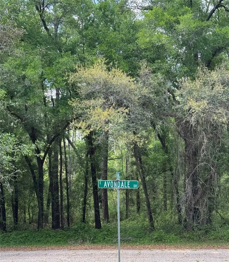 433 E Avondale Drive Dunnellon FL 34434
