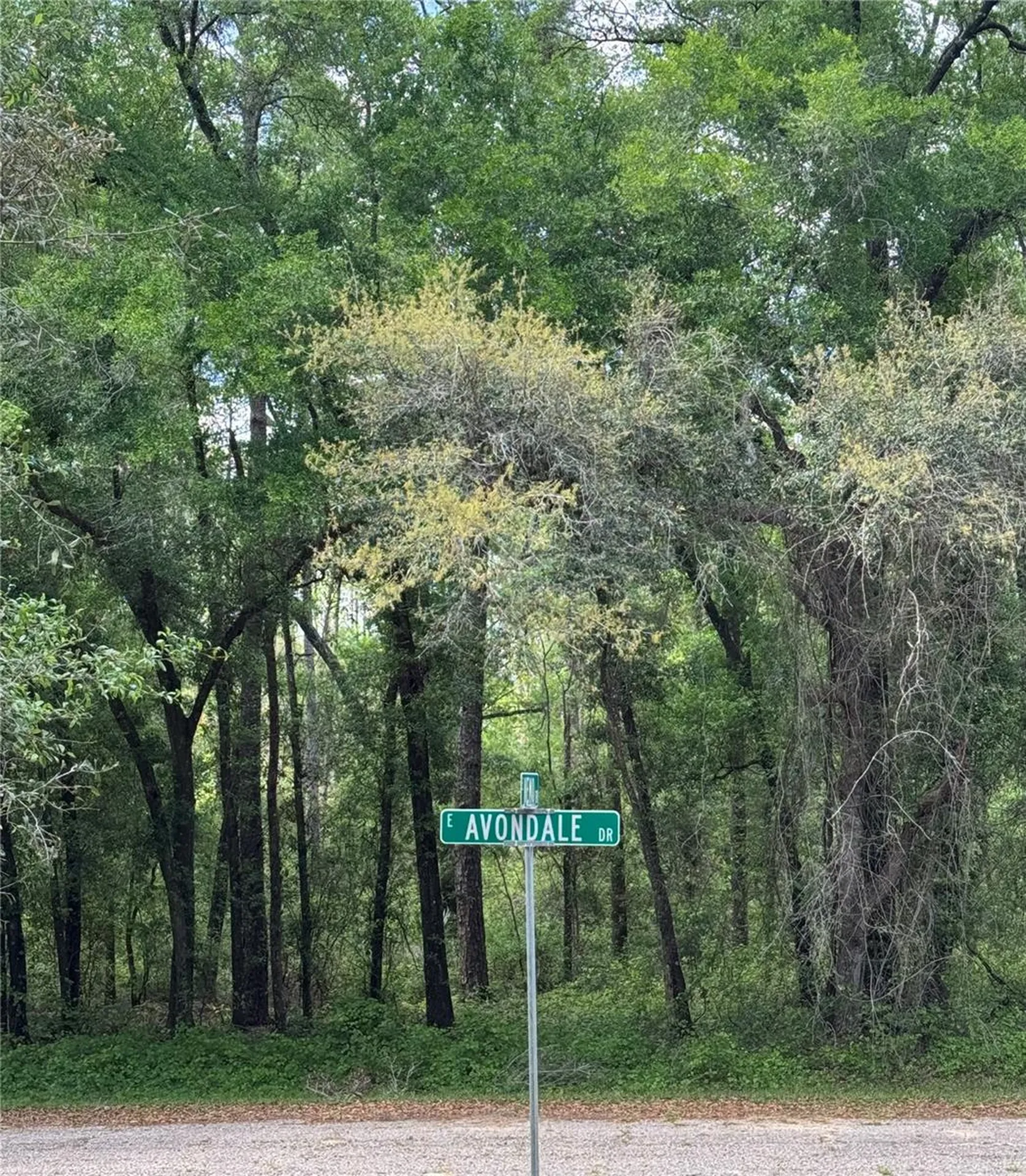 433 E Avondale Drive Dunnellon FL 34434