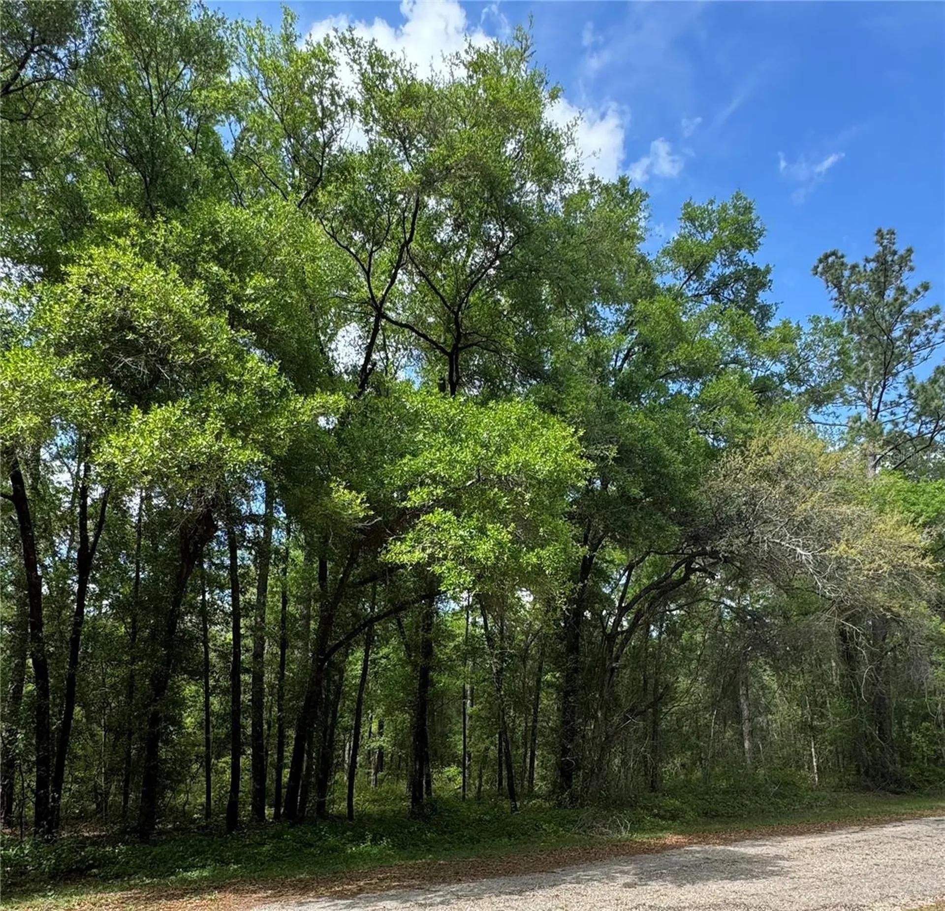 433 E Avondale Drive Dunnellon FL 34434